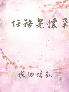 任务是怀孕系统