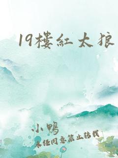 19楼红太狼