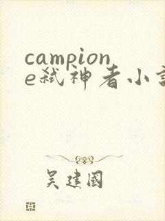 campione弑神者小说