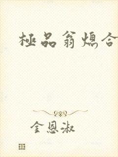 极品翁熄合集