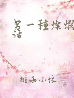 另一种灿烂的生活