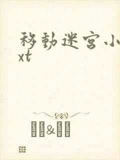 移动迷宫小说txt