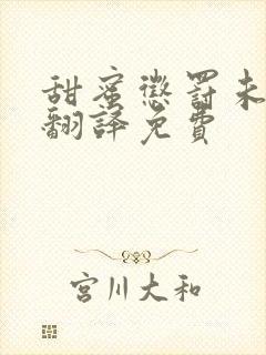 甜蜜惩罚未增删翻译免费