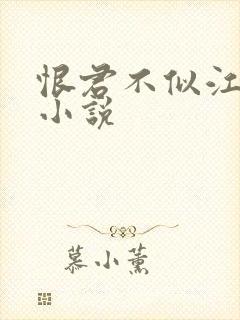 恨君不似江楼月小说