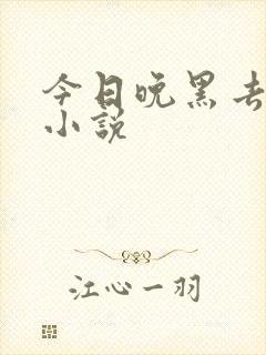 今日晚黑去见你小说