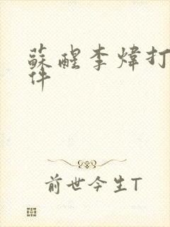 苏醒李炜打架事件