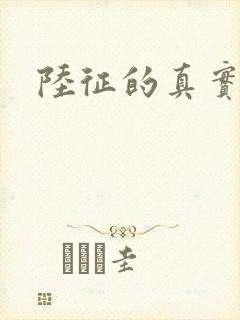 陆征的真实身份