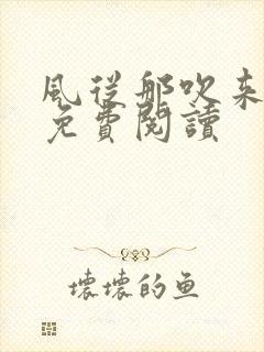 风从那吹来小说免费阅读