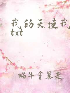 我的天使我的爱txt