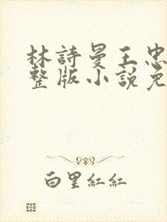 林诗曼王忠文完整版小说免费阅读