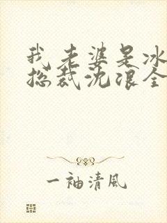 我老婆是冰山女总裁沈浪全集