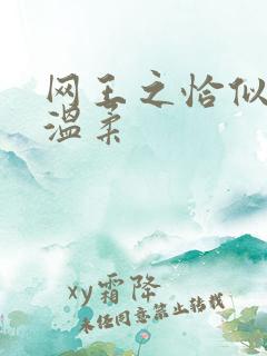 网王之恰似你的温柔
