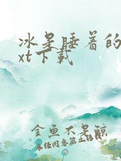 冰是睡着的水txt下载