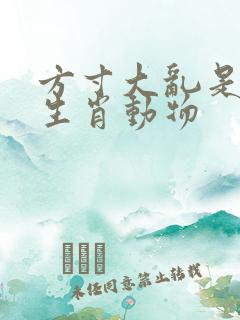 方寸大乱是什么生肖动物