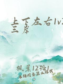 上下左右1v2三岸