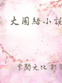 大团结小说阅读