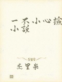 一不小心捡到爱小说