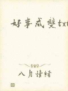 好事成双txt