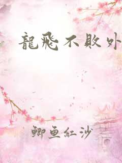龙飞不败外传