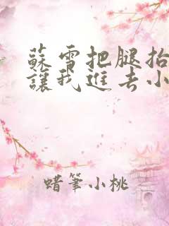 苏雪把腿抬起来让我进去小说