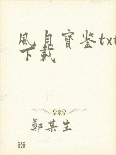 风月宝鉴txt下载