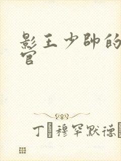 影王少帅的女长官