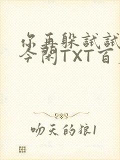 你再躲试试BY今闲TXT百度网盘