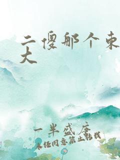 二傻那个东西真大
