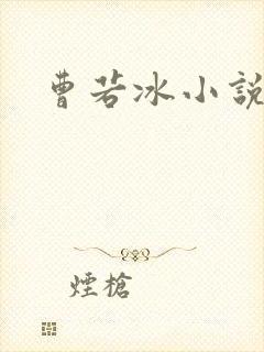 曹若冰小说