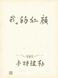 我的红颜