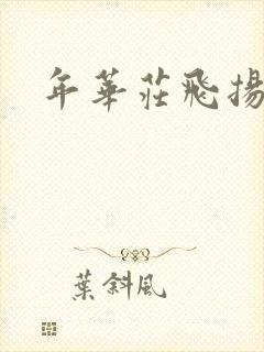 年华庄飞扬