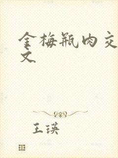 金梅瓶肉交白话文