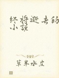 终将逝去的青春小说