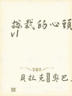 总裁的心头宝1v1