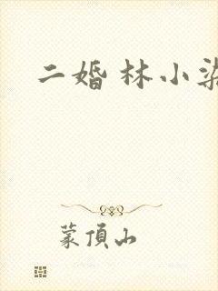 二婚 林小染