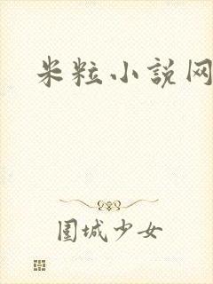 米粒小说网