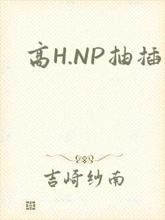 高H.NP抽插