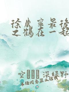 徐岁宁最后和洛之鹤在一起了吗