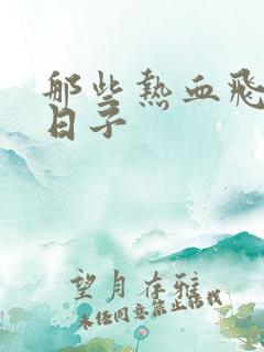 那些热血飞扬的日子