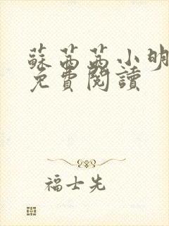 苏茜茜小明全文免费阅读