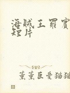 海贼王罗宾被h短片