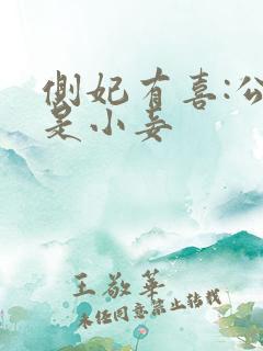 侧妃有喜:公主是小妾