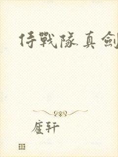 侍战队真剑者2