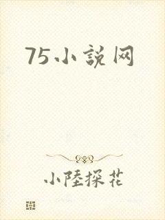 75小说网