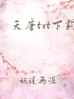 天唐txt下载
