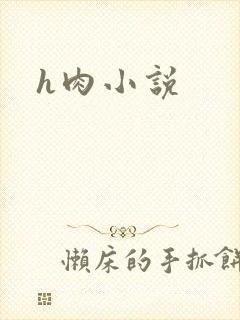 h肉小说
