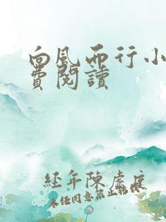 向风而行小说免费阅读