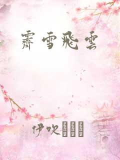 霁雪飞云