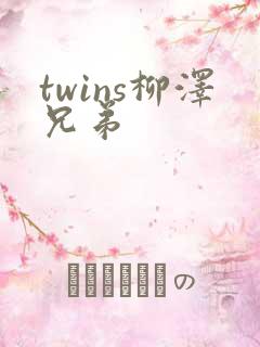 twins柳泽兄弟