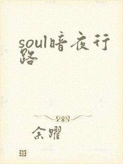 soul暗夜行路